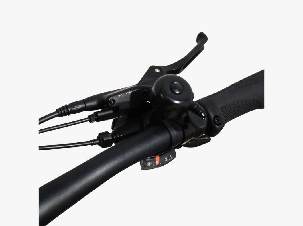 Dyson Mixte 8-speed - Image 4