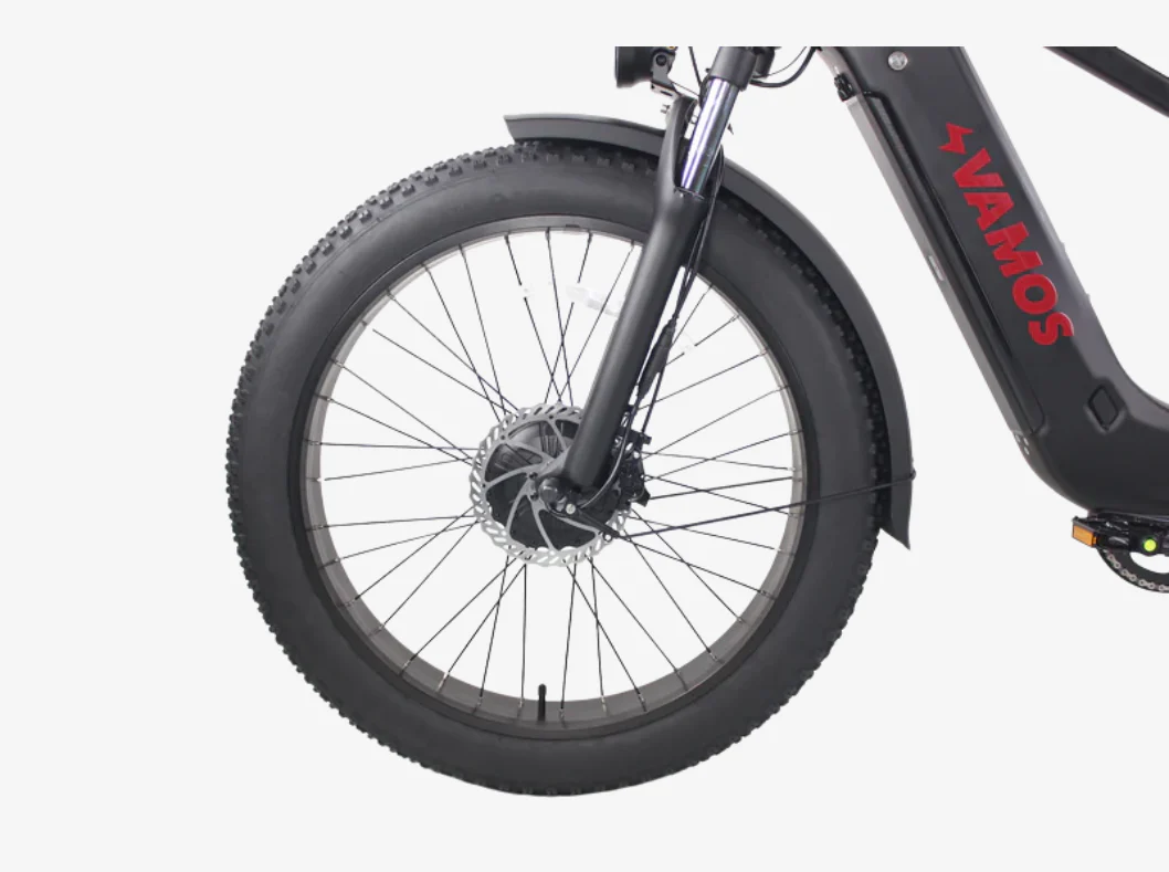 El Hefe 2024 - Fat Tyres Cruiser E-Bike - Image 4