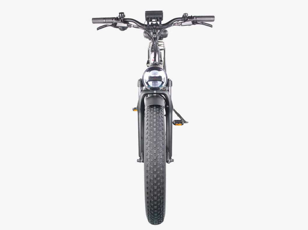 El Hefe 2024 - Fat Tyres Cruiser E-Bike - Image 5