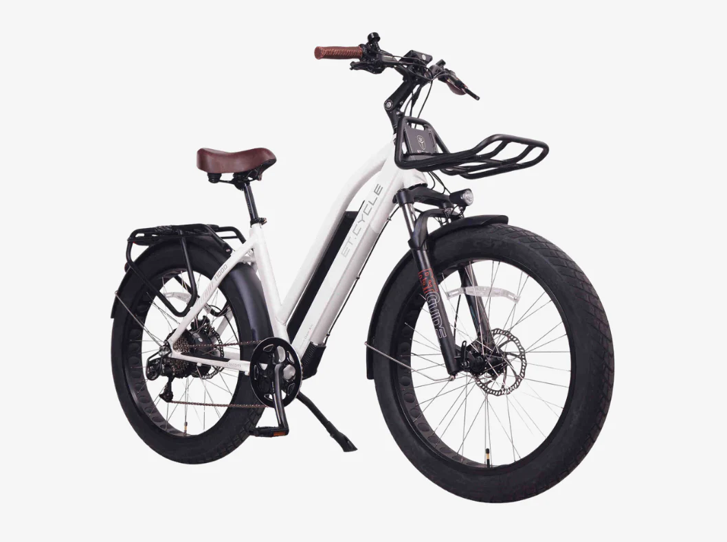 ET.Cycle T1000 - Image 10