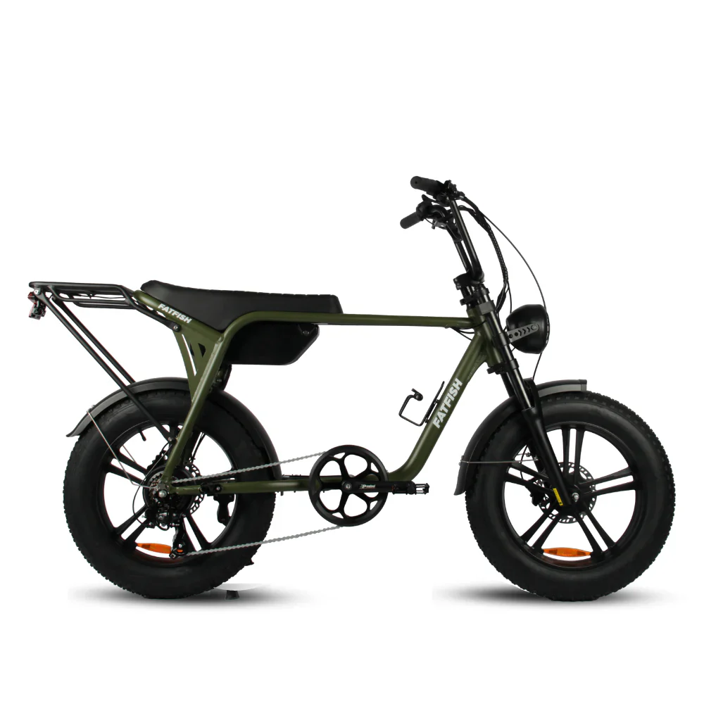 Fatfish Biggie 20AH - Image 4