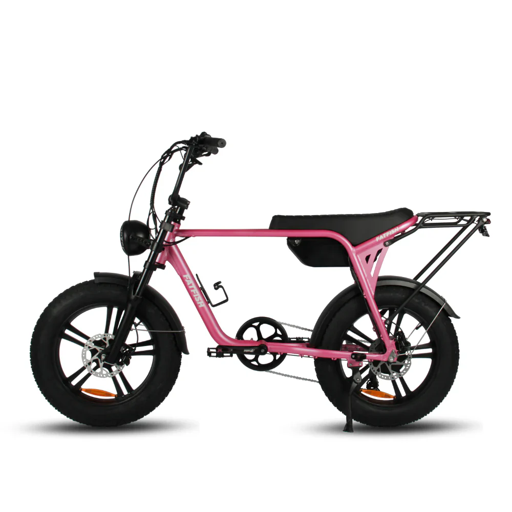Fatfish Biggie 20AH - Image 7
