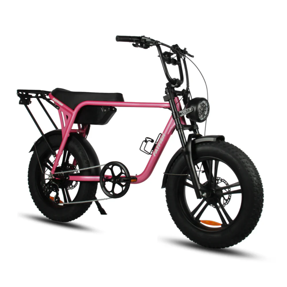Fatfish Biggie 20AH - Image 9