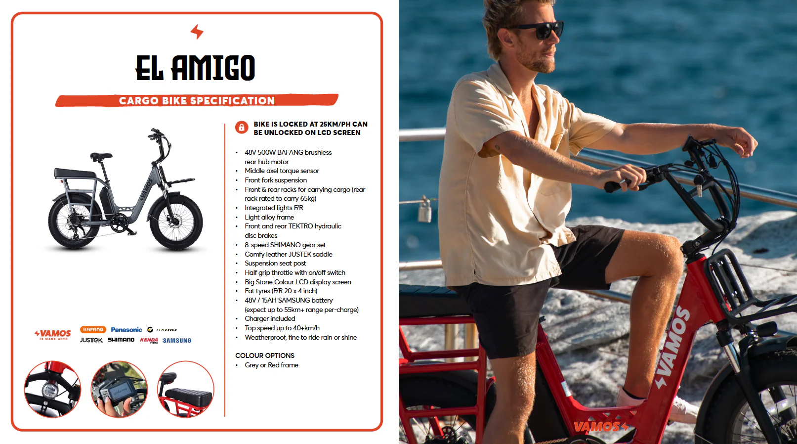 VAMOS AMIGO 2026 - CARGO - Image 6