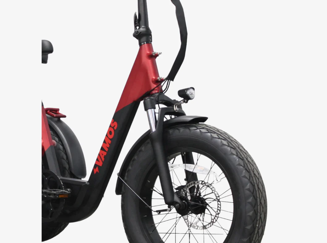 Vamos Papa Grande Pro 2026 - 3 Wheel E-Trike Bike - Image 6