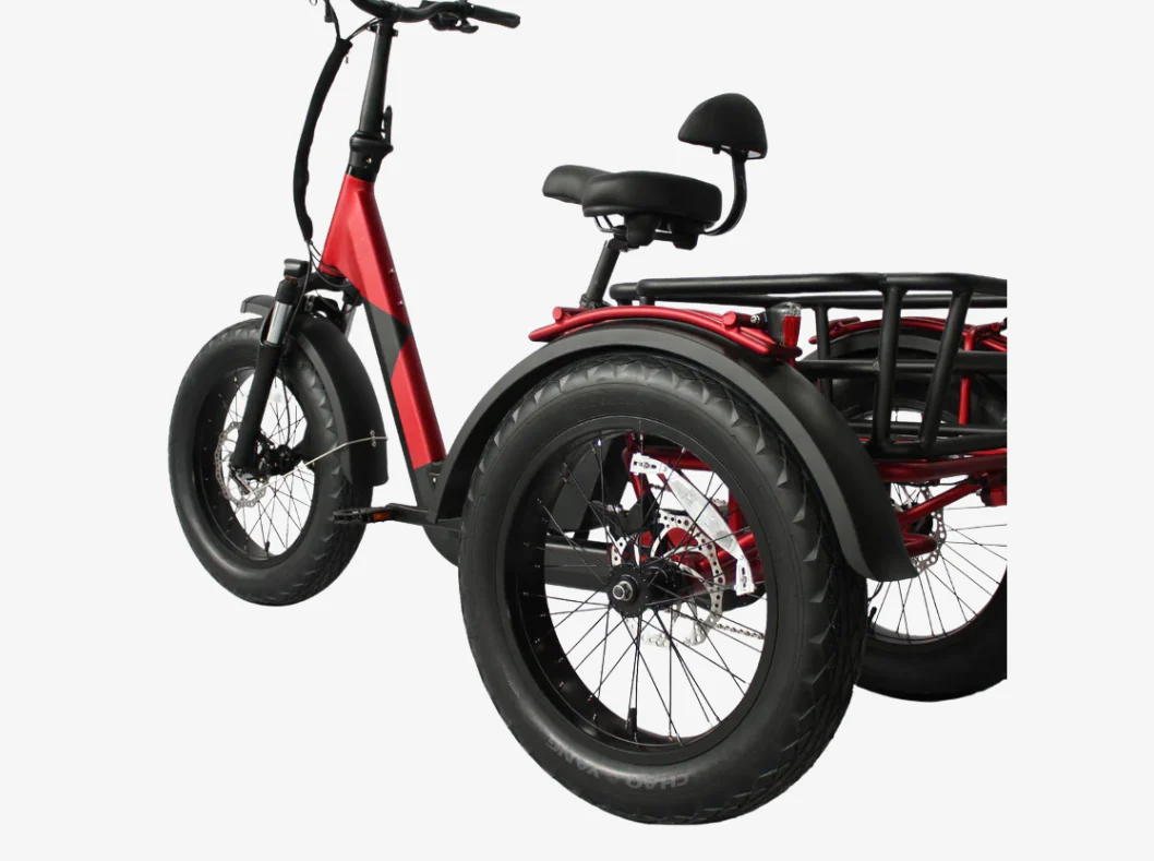 Vamos Papa Grande Pro 2026 - 3 Wheel E-Trike Bike - Image 7