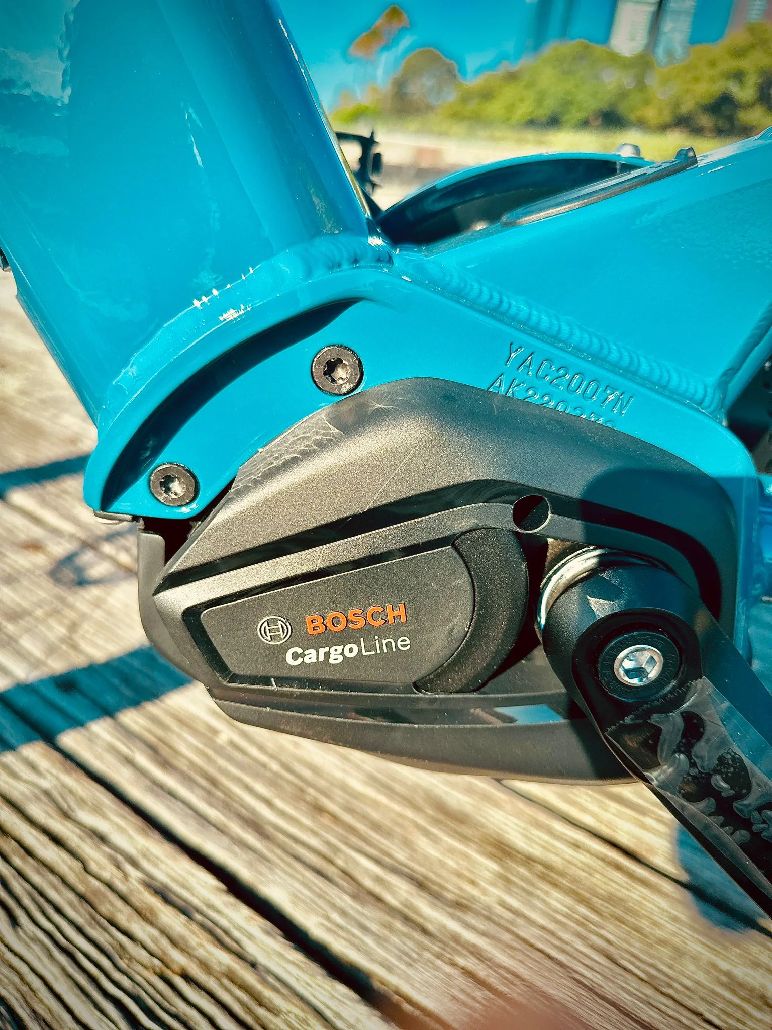YUBA SPICY CURRY V4 2024 - Image 6